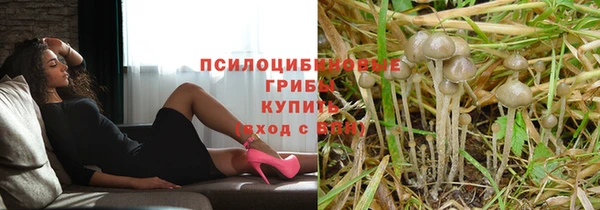 мяу мяу кристалл Надым