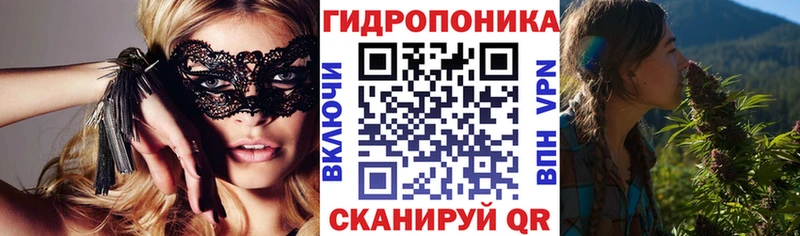 Канабис сатива  мега вход  Ковдор  где купить наркоту 